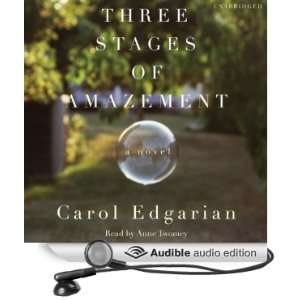  Three Stages of Amazement A Novel (Audible Audio Edition 