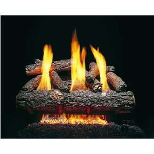   Gas Log Set   See Thru / Remote Ready   Natural Gas