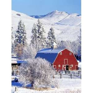  Barns in winter, Methow Valley, Washington, USA 