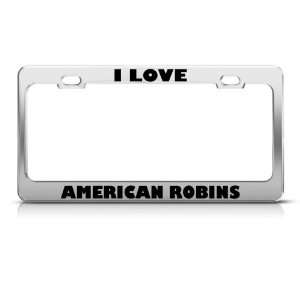 Love American Robins Robin Animal license plate frame Stainless