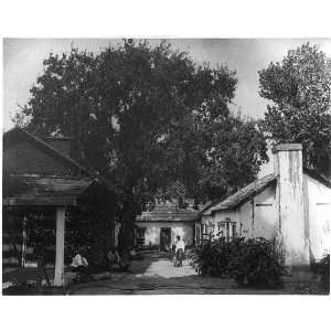  Tejon Ranch,Kern County,Calif.,CA,1888,Carleton Watkins 