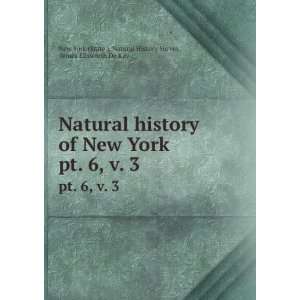   Ellsworth De Kay New York (State ). Natural History Survey Books