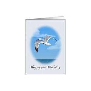  91st Birthday, Ring billed Gull Bird Card Toys & Games