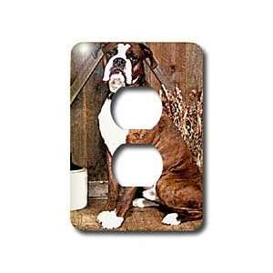  Dogs Boxer   Brindle Boxer   Light Switch Covers   2 plug 
