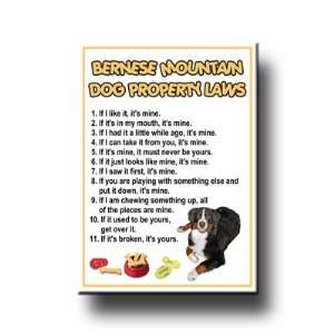  Bernese Mountain Dog Property Laws Fridge Magnet 