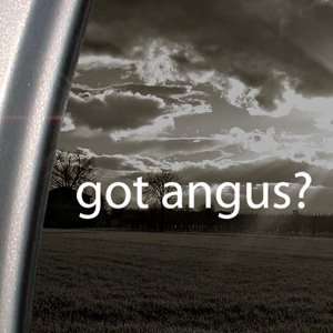  Got Angus? Decal Beef Cattle Farmer Cow Car Sticker 