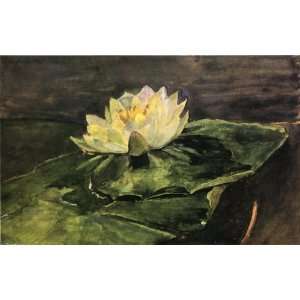   canvas   John La Farge   24 x 16 inches   Water Lily