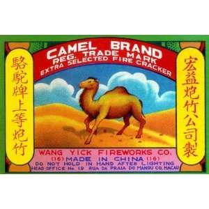    Camel Brand Extra Selected Firecracker 20x30 Canvas