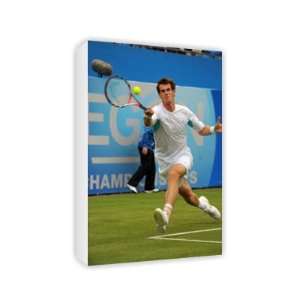  Andy Murray   Canvas   Medium   30x45cm