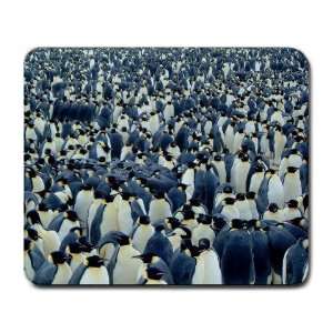  Penguin Convention Animal Lover Large Mousepad Everything 