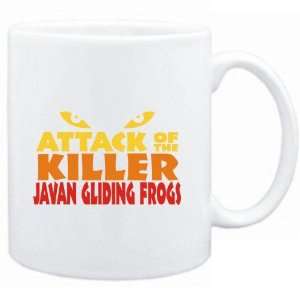   Attack of the killer Javan Gliding Frogs  Animals