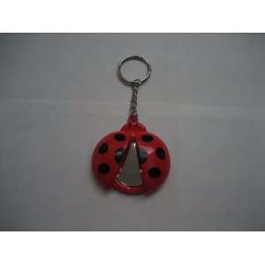  Red/black Dots Ladybug Key Chain with Mirror Everything 