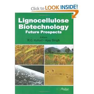  Lignocellulose Biotechnology Techniques and Applications 