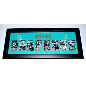  Miami Dolphins Picture Frame 