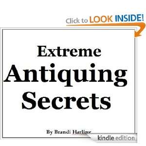Start reading Extreme Antiquing 