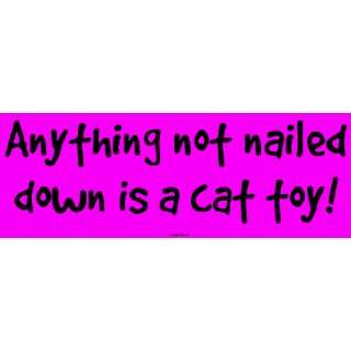  Anything not nailed down is a cat toy Bumper Sticker Automotive