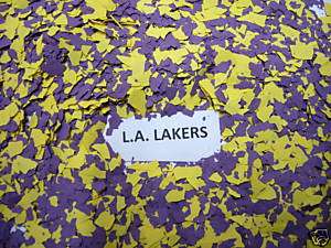 PAINT CHIPS / COLOR FLAKES Garage Floor ALL NBA Teams  