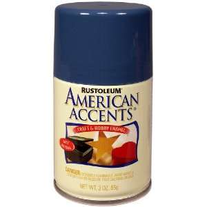   American Accents Craft and Hobby Spray Paint, Wildflower Blue, 3 Ounce