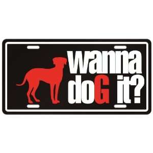   Catahoula Leopard Dog / Wanna Dog It ?  License Plate Dog Home