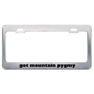 Got Mountain Pygmy Possum? Animals Pets Metal License Plate Frame 