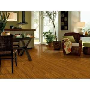 Armstrong Flooring 302712D Grand Illusions Premium Exotics Tiger Wood 