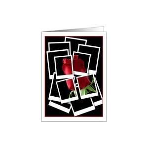  Getting The Big Picture Red Rose Flower Collage Notecards 