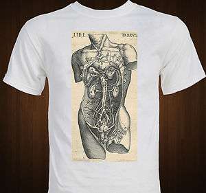 Renaissance Anatomical Art Anatomy Cool T shirt  