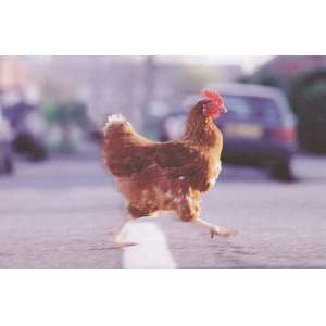 Greeting Cards   Fathers Day Why Did the Chicken Cross the Road?