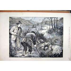   1875 Wild Duck Shooting Ireland Men Gun Dog Fine Art