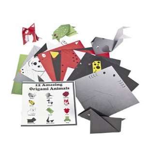  Everyday Origami Booklets   Craft Kits & Projects 