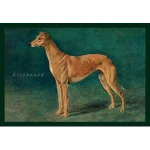  Vintage Art Coursing Greyhound   04382 2