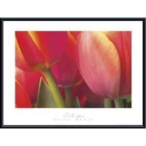     Tulips   Artist Brian Twede  Poster Size 30 X 20