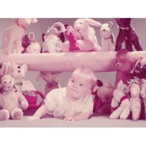 Baby Crawling Under Shelf Filled With Stuffed Toy Animals Photographic 