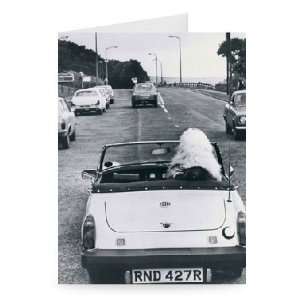 Old English sheep dog at the steering wheel   Greeting Card (Pack of 2 