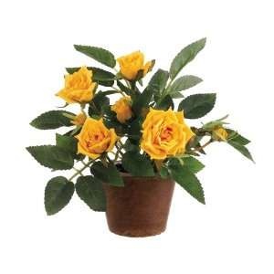  6 Diamond Rose in Round Aged Terra Cotta Pot Yellow (Pack 