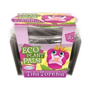  Tina Torenia Case Pack 24 Toys & Games