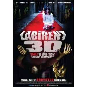  The Shock Labyrinth 3D Movie Poster (11 x 17 Inches   28cm 