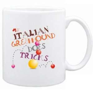    New  My Italian Greyhound Does Tricks   Mug Dog