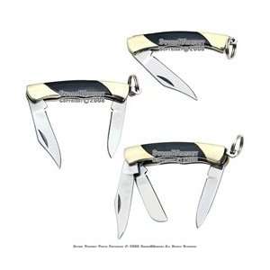  Gift Set of 3 Kerry Horn Key Chain Pocket Folder Knife 