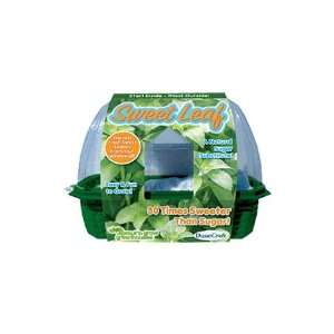  Sprout n Grow Greenhouse   Sweet Leaf Toys & Games