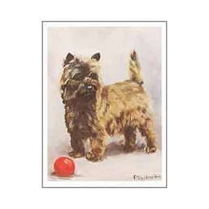 Cairn Terrier with Ball Notecards