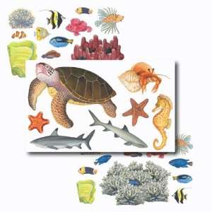 Under the Sea Dry Rub Transfers Grocery & Gourmet Food
