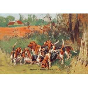  Artesien Normand Bassets 12x18 Giclee on canvas
