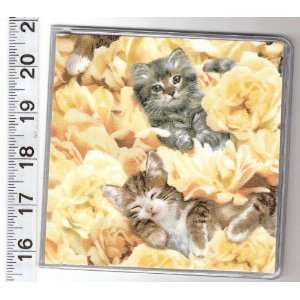  CD DVD Holder Carrier Made with Potpourri Kitten Cat 
