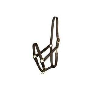  HALTER STABLE, Size HORSE (Catalog Category Equine Tack 