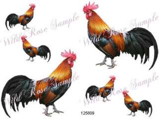JuST IN NeW XL SHaBbY RooSTeR CounTrY DeCALs~FuRN SiZe  