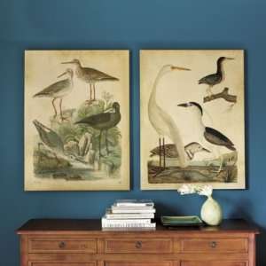  Set of 2 Shorebirds Gathering Giclee  Ballard Designs 