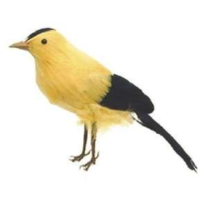   Large Bird Warbler 6 Standing, Feather, Yellow/Black