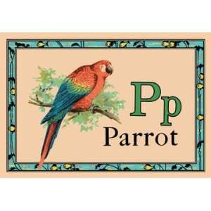  Parrot 20x30 poster
