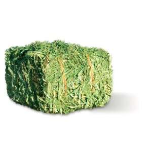  The Real Bale Timothy Gold Hay, 1.5lb, Blue